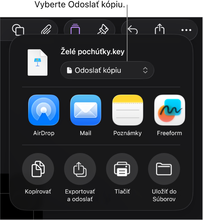Menu Zdieľať s vybranou možnosťou Odoslať kópiu vo vrchnej časti.