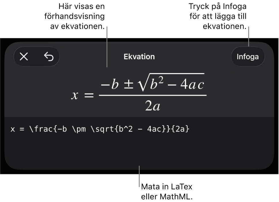 Dialogrutan Ekvation visar en ekvation som skrivits med MathML-kommandon och en förhandsvisning av formeln ovanför den.