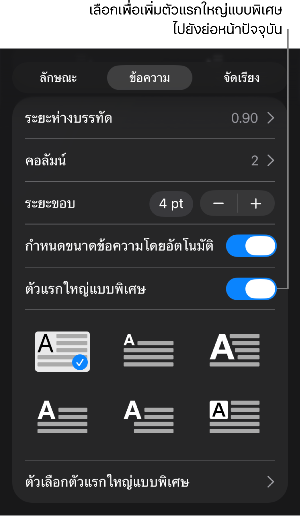 ตัวควบคุมตัวแรกใหญ่แบบพิเศษที่อยู่ในเมนูข้อความ