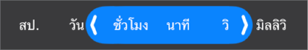 ตัวเลือกช่วงระยะเวลา