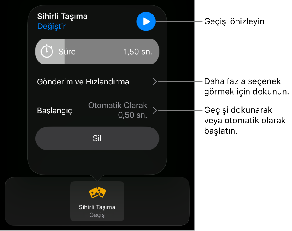 Geçişler bölümündeki Sihirli Taşıma denetimleri.