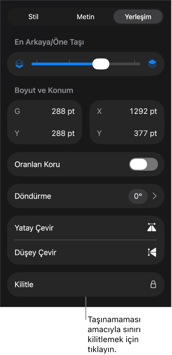 Kilitle düğmesi belirtilmiş olarak Biçim menüsündeki Yerleştir denetimleri.