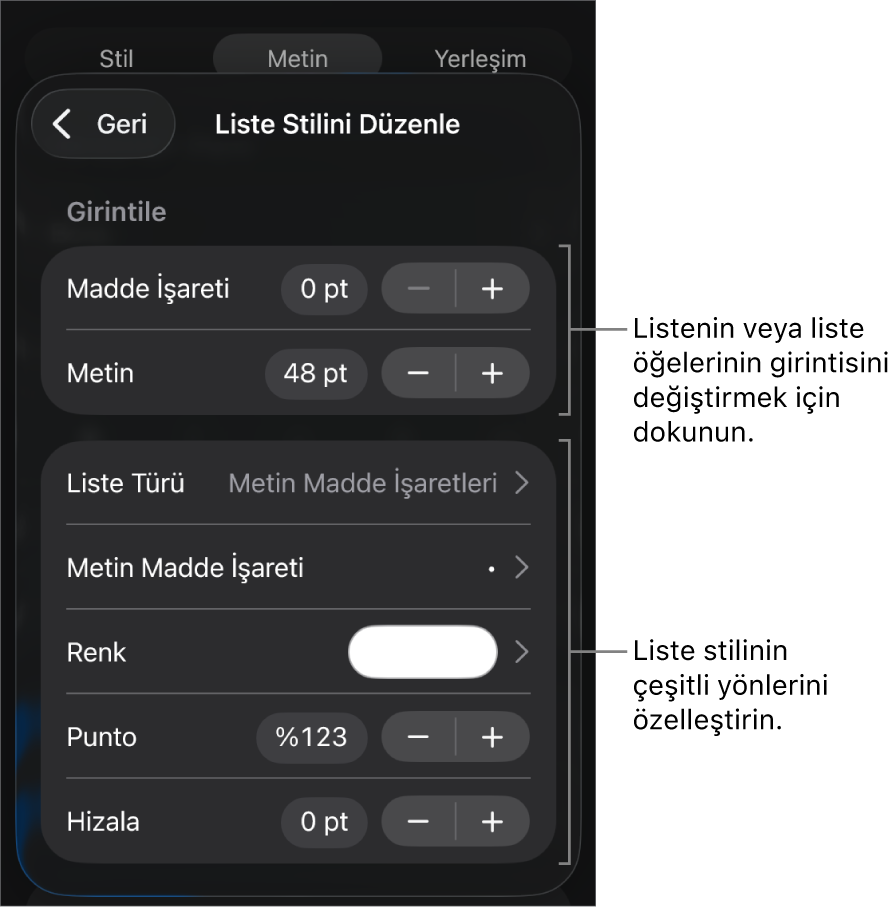 Listenin türünü ve görünüşünü düzenleme denetimleriyle Liste Stilini Düzenle menüsü.