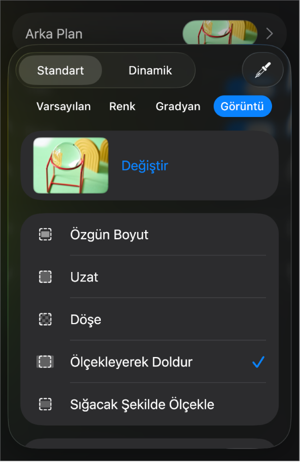 Arka Plan denetimleri, slayt arka planı olarak ayarlanmış bir görüntü ve en alttaki Renk Kaplama ile.