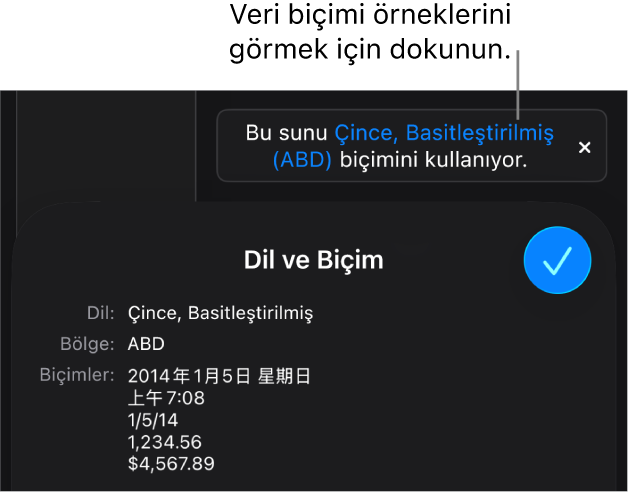 O dil ve bölgede kullanılan biçimlendirme örneklerini gösteren, farklı dil ve bölge ayarı bildirimi.