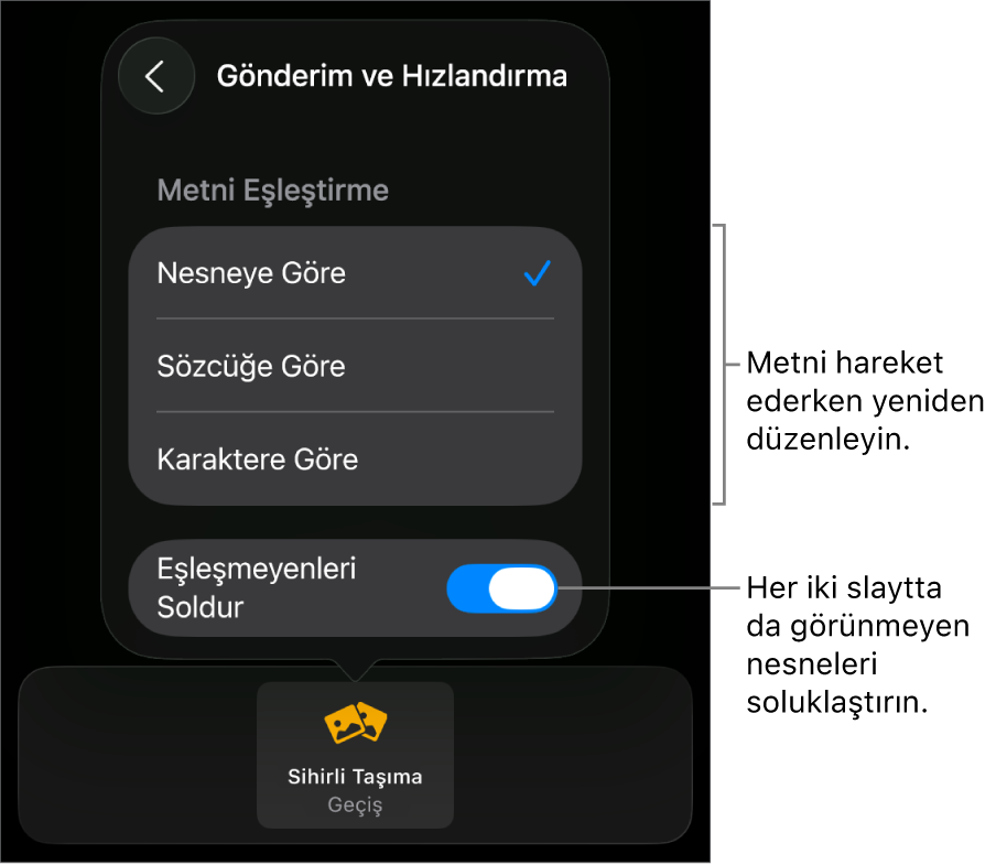 Hızlandırma bölümündeki Sihirli Taşıma gönderim ve hızlandırma seçenekleri.