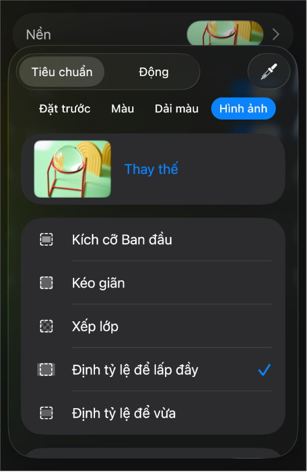 Các điều khiển Nền với hình ảnh được đặt dưới dạng nền trang chiếu và điều khiển Lớp phủ màu ở dưới cùng.