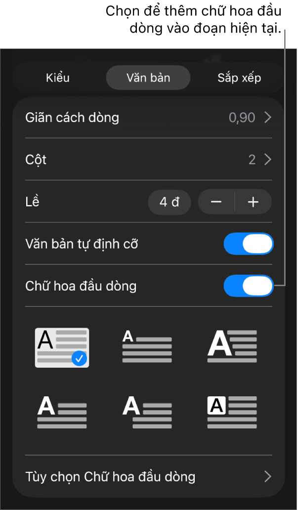 Các điều khiển Chữ hoa đầu dòng nằm trong menu Văn bản.