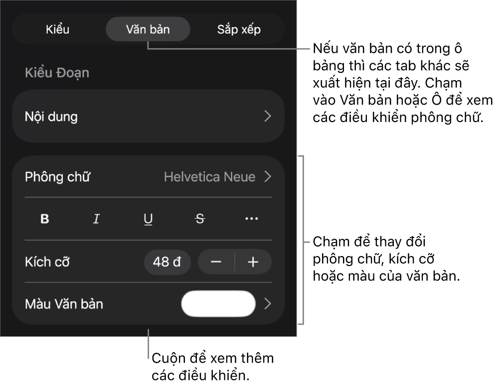 Các điều khiển văn bản trong menu Định dạng để đặt kiểu, phông chữ, kích cỡ và màu của đoạn và ký tự.