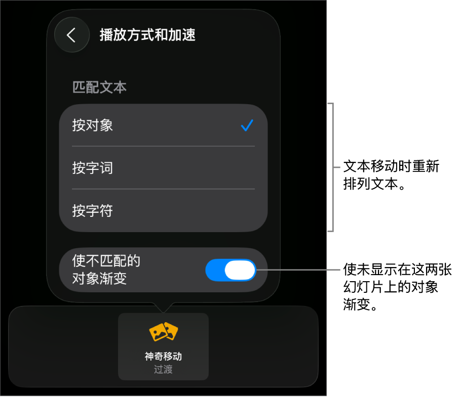 “加速”面板中“神奇移动”的播放方式和加速选项。