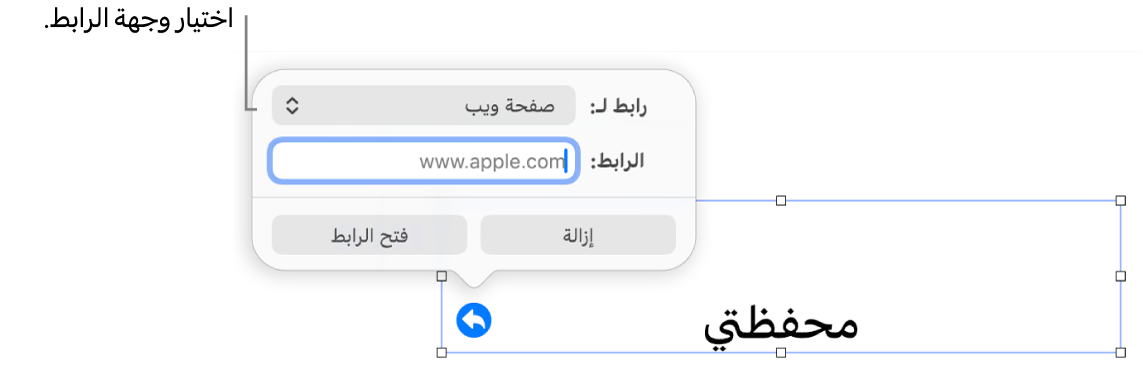 عناصر التحكم في محرر الرابط حيث يوجد الخيار صفحة الويب محددًا وتظهر أزرار إزالة وفتح الرابط في الأسفل.