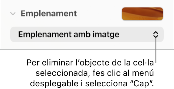 Control per eliminar un objecte d’una cel·la seleccionada.