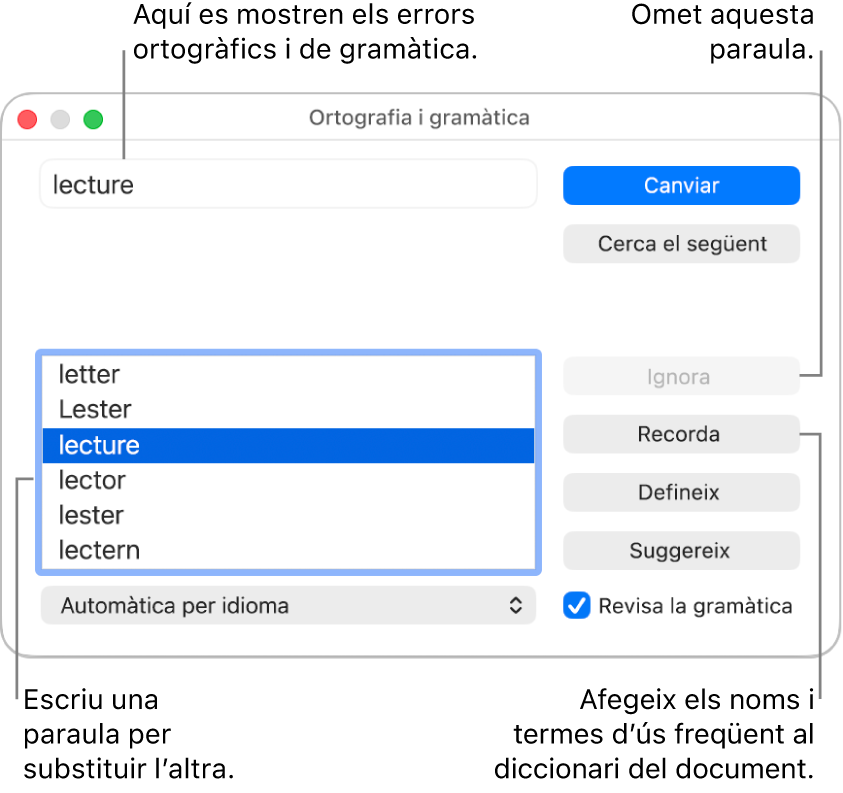 La finestra “Ortografia i gramàtica”.