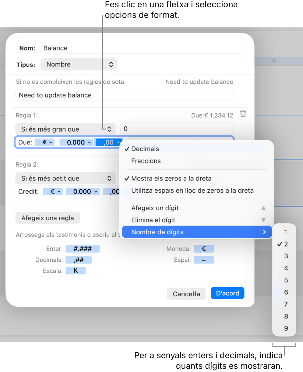 La finestra de format de cel·la personalitzat, amb controls per crear un format numèric personalitzat.