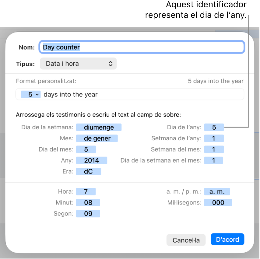 La finestra de format de cel·la personalitzat, amb controls per crear un format personalitzat de data i hora.