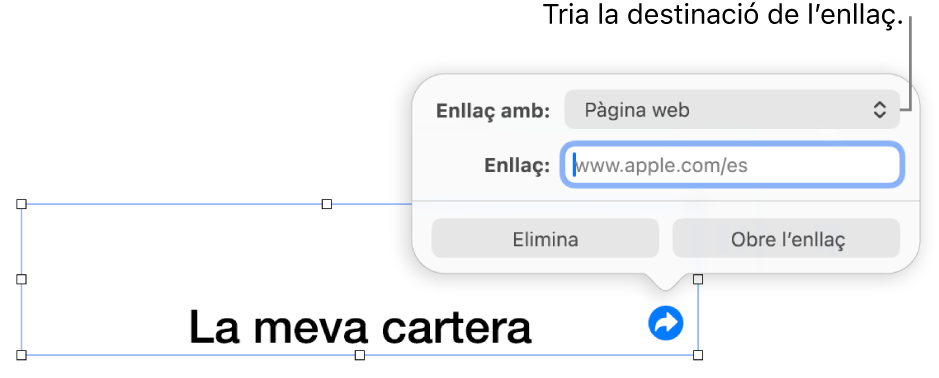 Controls de l’editor d’enllaços amb l’opció “Pàgina web” seleccionada i els botons “Elimina” i “Obre l’enllaç” situats a la part inferior.