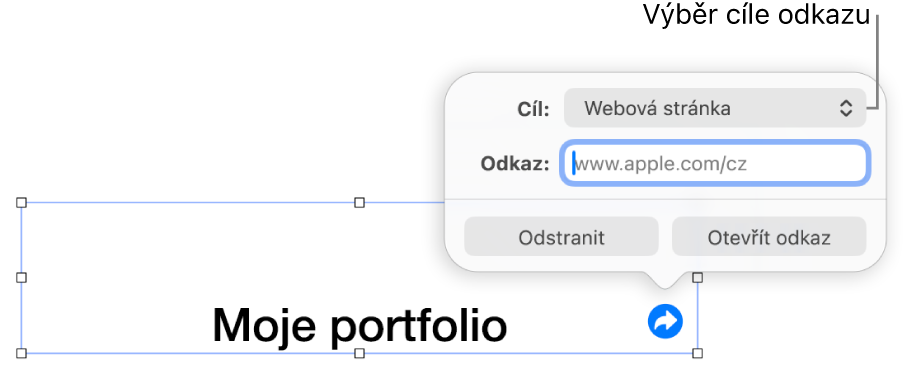 Ovládací prvky editoru odkazů s vybranou volbou Webová stránka a tlačítky Odstranit a Otevřít odkaz v dolní části.