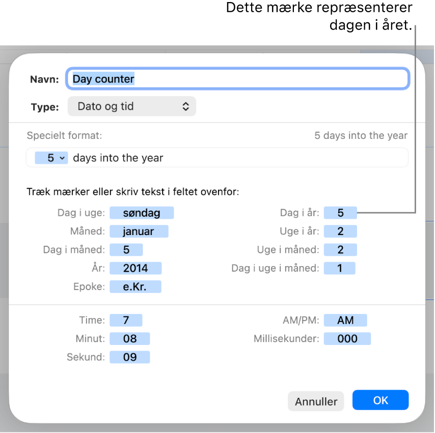 Vinduet til specielle celleformater med betjeningsmuligheder til oprettelse af et specielt dato- og tidsformat.