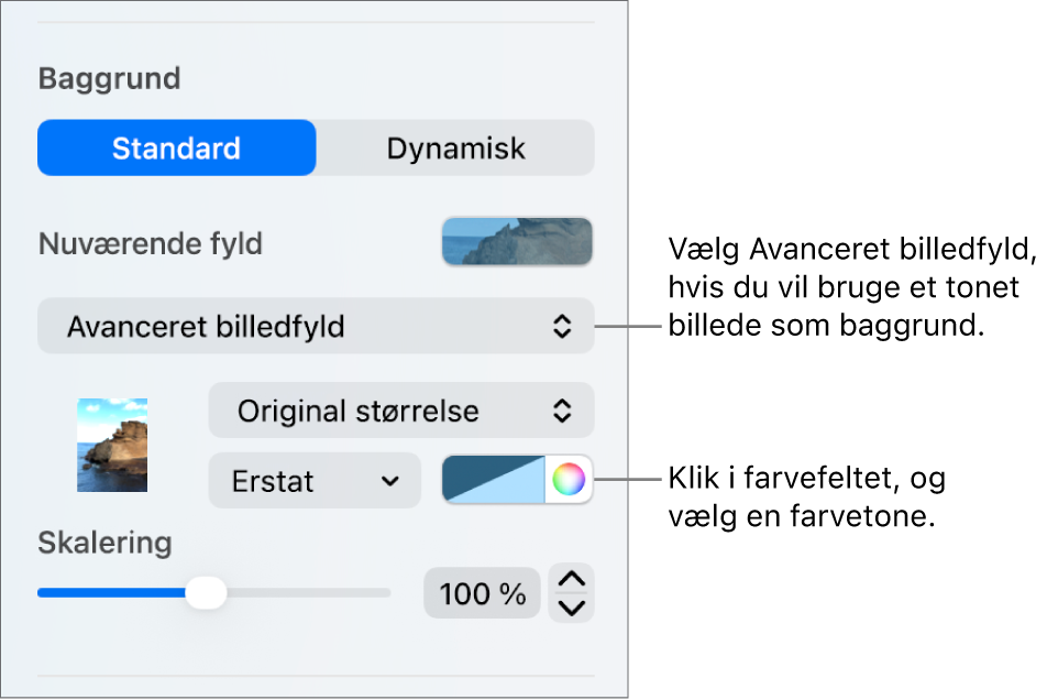 Betjeningsmulighederne til baggrund med Avanceret billedfyld med farvetone indstillet som lysbilledbaggrund.