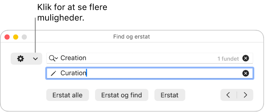 Vinduet Find & erstat med billedforklaring til lokalmenuen, der viser flere muligheder.