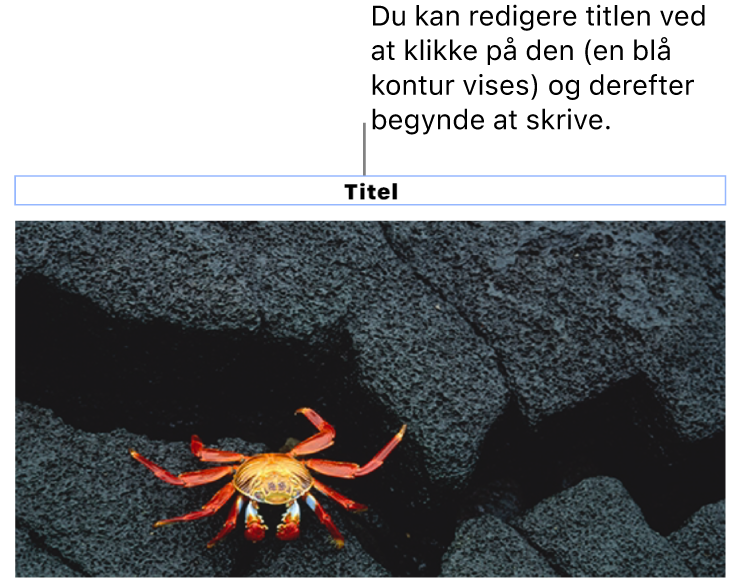 Eksempeltitlen “Titel” vises under et foto, og en blå kontur rundt om feltet med titlen viser, at det er valgt.