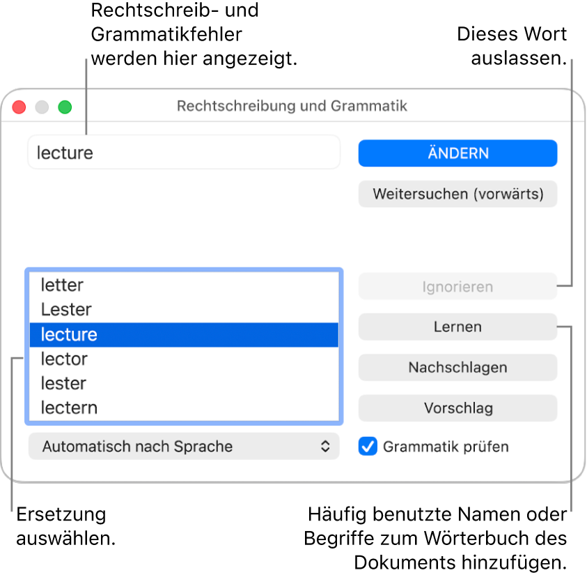 Das Fenster „Rechtschreibung und Grammatik“