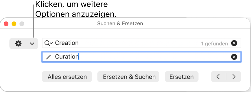 Das Fenster „Suchen & Ersetzen“ mit einer Beschreibung zum Einblendmenü, das weitere Optionen anzeigt.