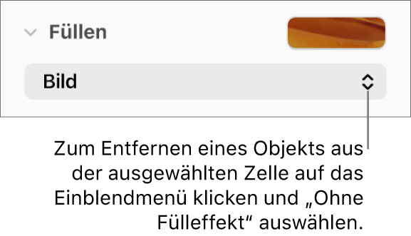 Die Steuerelemente zum Entfernen eines Objekts aus einer ausgewählten Zelle