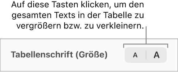 Die Steuerelemente in der Seitenleiste zum Ändern der Größe der Tabellenschrift