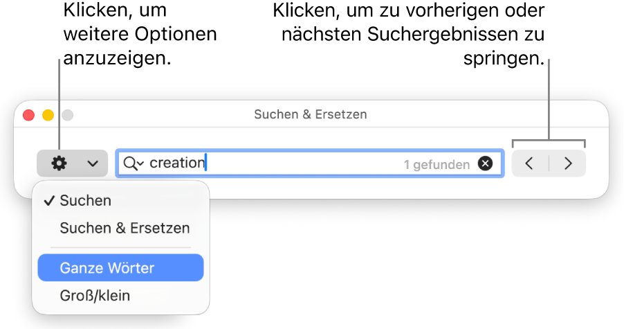 Das Fenster „Suchen & Ersetzen“ mit dem Einblendmenü, in dem Optionen zum Suchen, Suchen und Ersetzen, Suchen ganzer Wörter und Suchen unter Berücksichtigung der Groß-/Kleinschreibung zu sehen sind. Mit den Pfeilen auf der rechten Seite kann zu den vorherigen bzw. nächsten Suchergebnissen gesprungen werden.