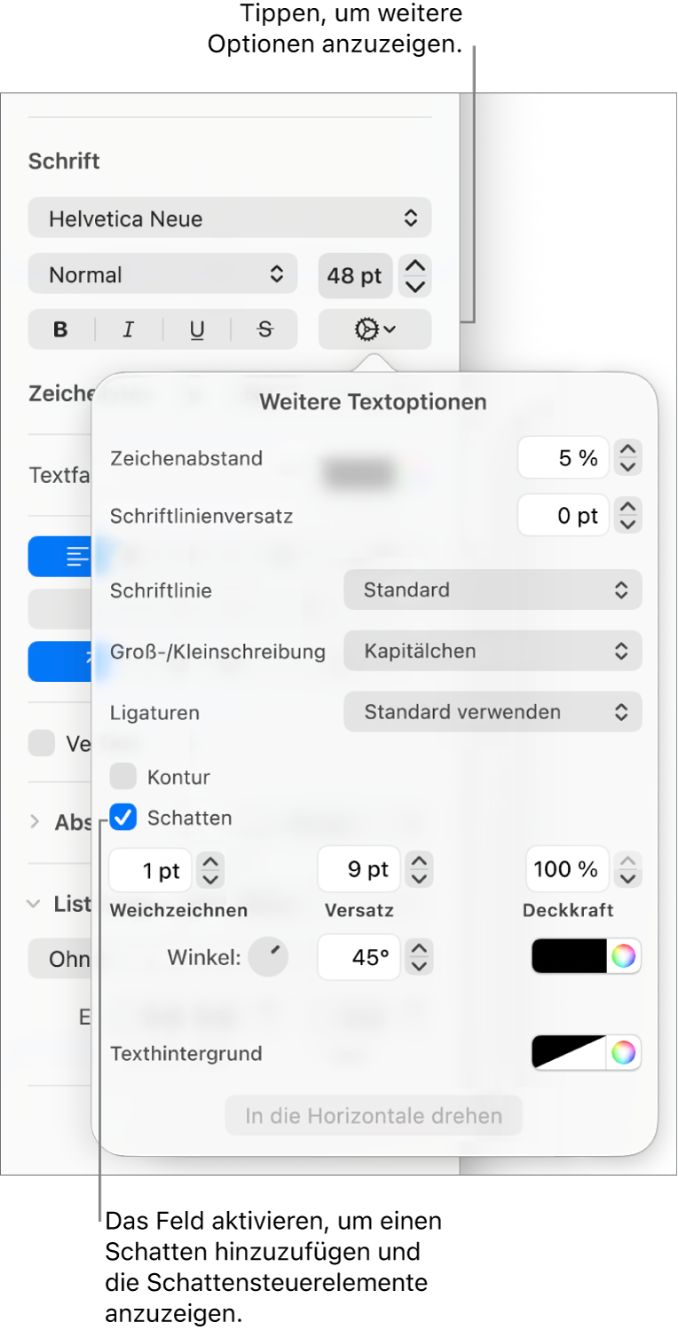 Der geöffnete Bereich „Erweiterte Optionen“ mit der aktivierten Option „Schatten“ und Steuerelementen zum Konfigurieren von „Weichzeichnen“, „Versatz“, „Deckkraft“ und „Winkel“ sowie der Farbe.