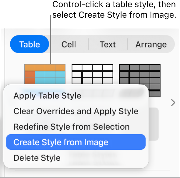 The table style shortcut menu.