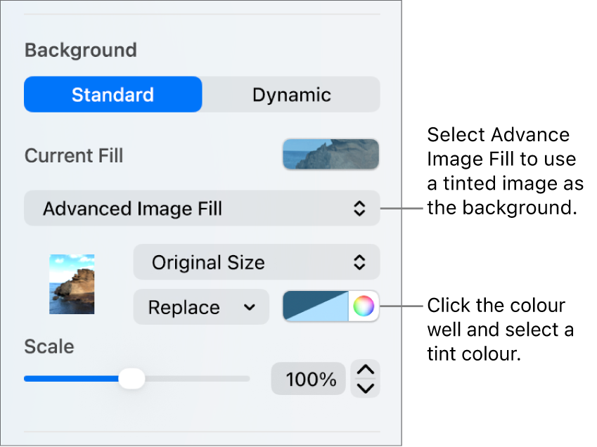 The Background controls with a tinted Advanced Image Fill set as the slide background.