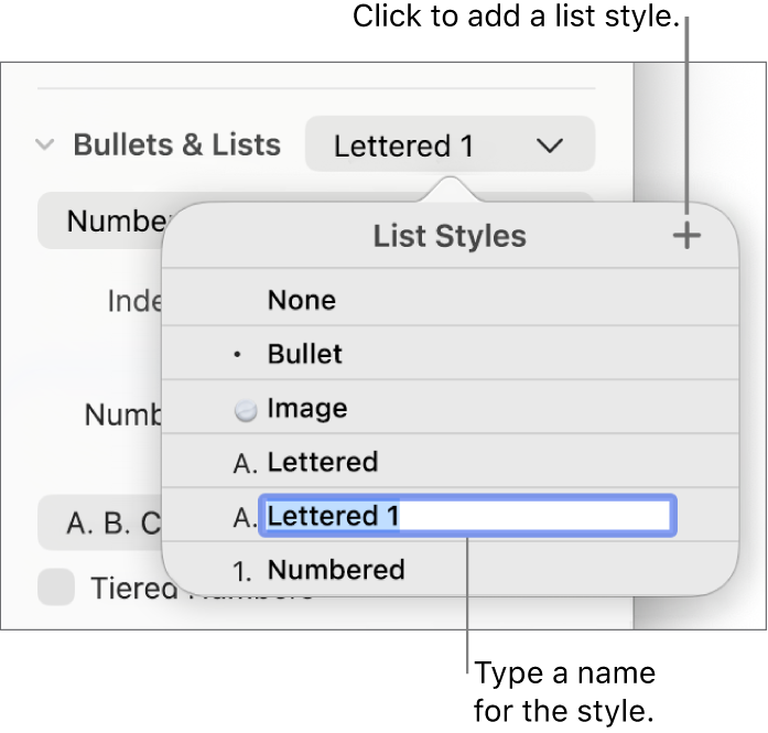 The List Styles pop-up menu with an Add button in the top-right corner and a placeholder style name with its text selected.