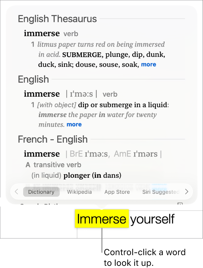 Text with a word highlighted and a window showing its definition and a thesaurus entry. Two buttons at the bottom of the window provide links to the dictionary and to Wikipedia.