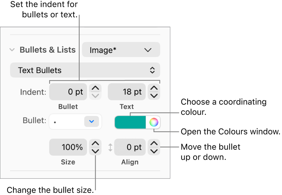 The Bullets & Lists section with callouts to the controls for bullet and text indent, bullet colour, bullet size and alignment.