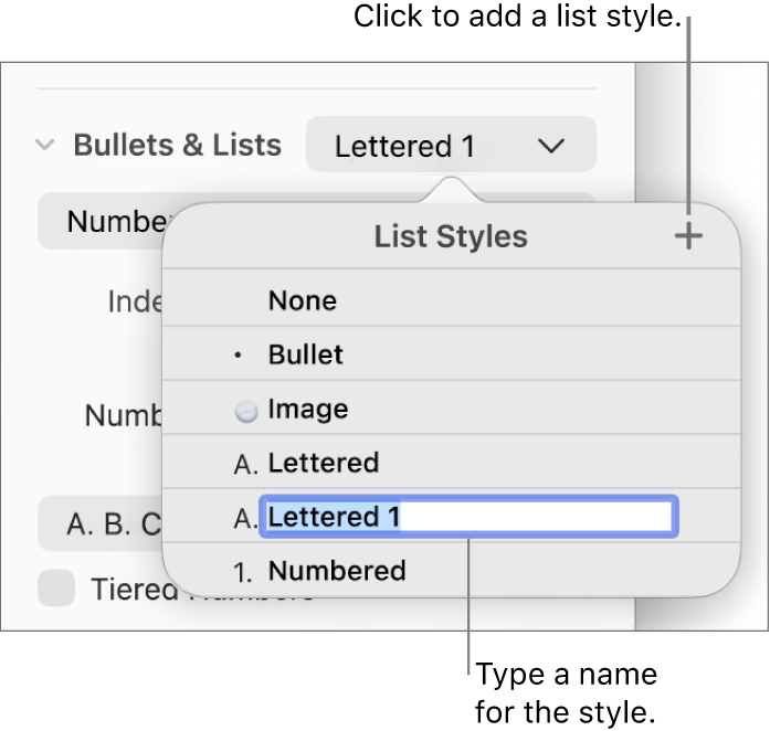 The List Styles pop-up menu with an Add button in the top-right corner and a placeholder style name with its text selected.