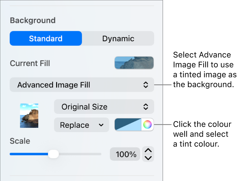 The Background controls with a tinted Advanced Image Fill set as the slide background.