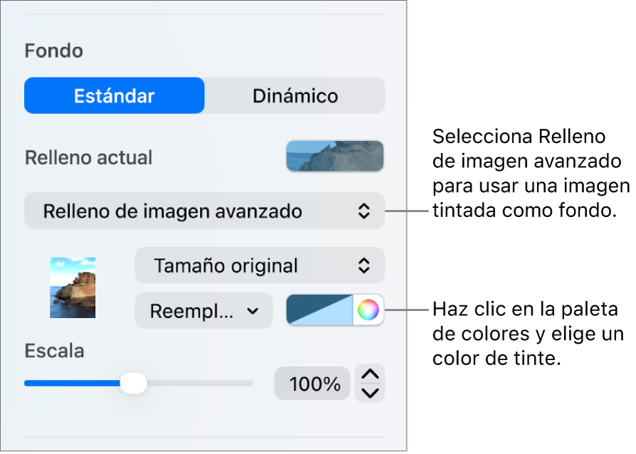 Los controles Fondo con un relleno de imagen avanzado tintado establecido como fondo de la diapositiva.