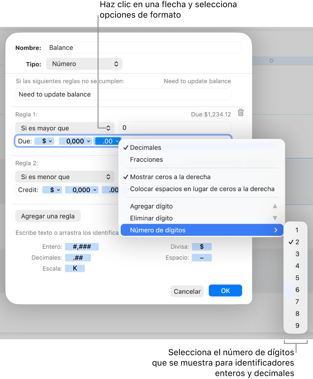 Ventana de formato de celda personalizado con controles para crear un formato numérico personalizado.