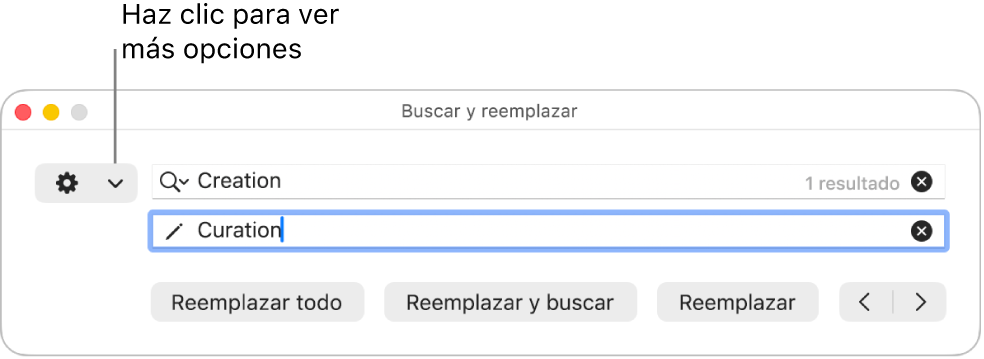La ventana “Buscar y reemplazar” con una llamada al menú desplegable que muestra más opciones.
