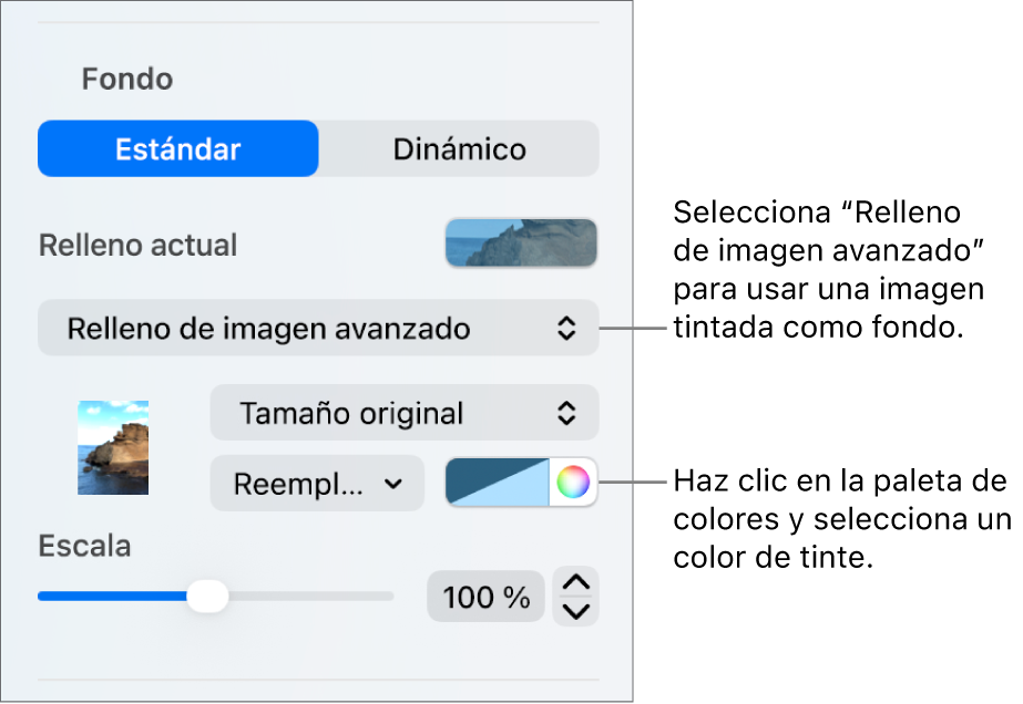 Los controles de Fondo con la opción “Relleno de imagen avanzado” establecida como el fondo de la diapositiva.