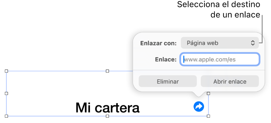Controles del editor de enlaces con la opción “Página web” seleccionada y los botones Eliminar y “Abrir enlace” en la parte inferior.