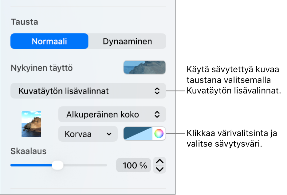 Tausta-säätimet, joissa sävytetyt Kuvatäytön lisävalinnat on asetettu dian taustaksi.