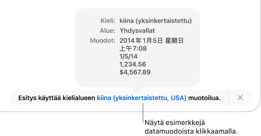 Eri kieli- ja alueasetuksen ilmoitus, jossa on esimerkkejä kyseisen kielen ja alueen muotoilusta.