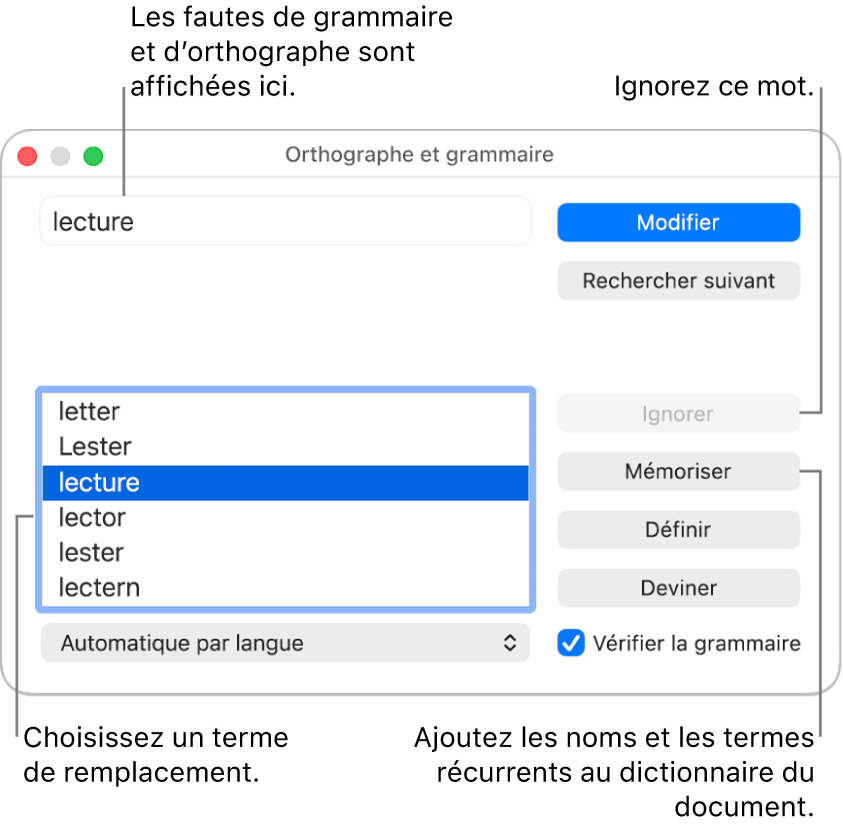 La fenêtre Orthographe et grammaire.
