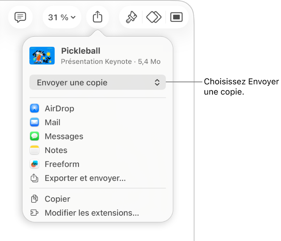 Le menu Partager avec l’option Envoyer une copie sélectionnée dans le haut.
