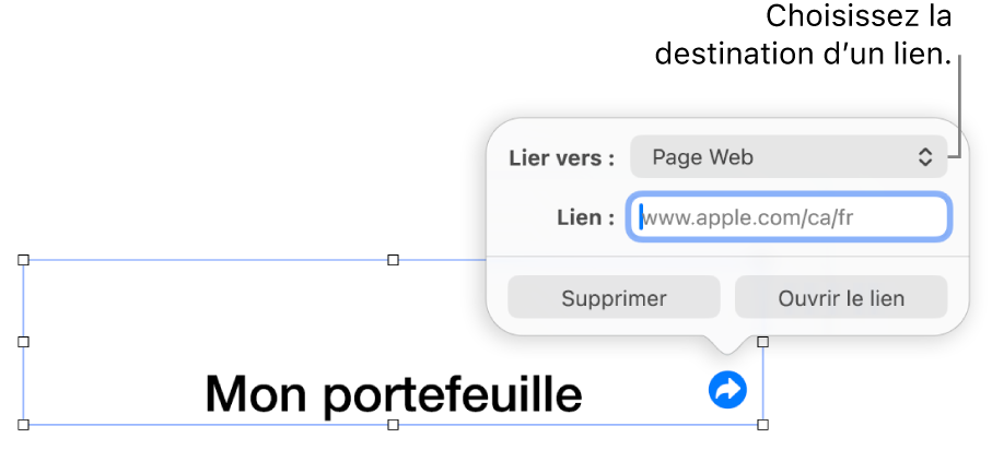 Les commandes de l’éditeur de lien avec l’option Page Web sélectionnée au-dessus des boutons Supprimer et Ouvrir le lien.