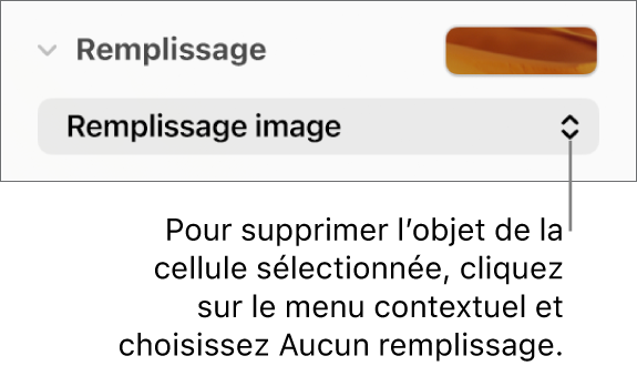 Commande permettant de supprimer un objet de la cellule sélectionnée.