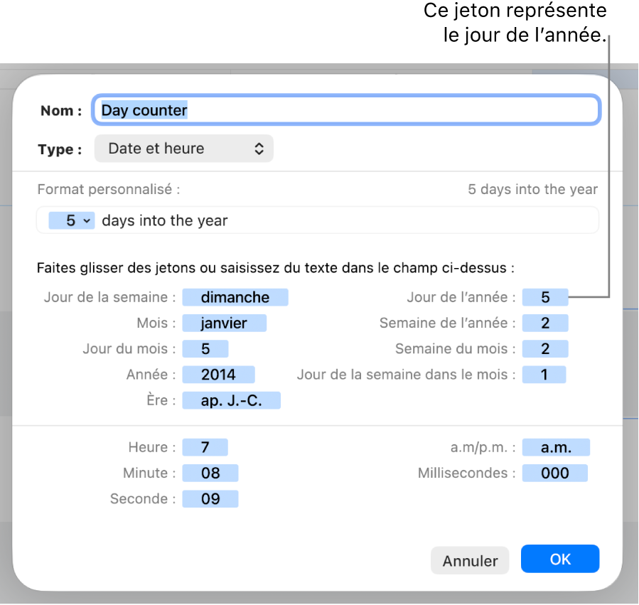 Fenêtre de format de cellule personnalisé présentant les commandes permettant de créer un format de date et d’heure personnalisé.
